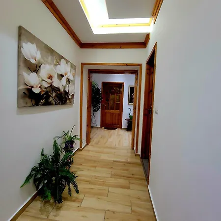 Guest house Alsara